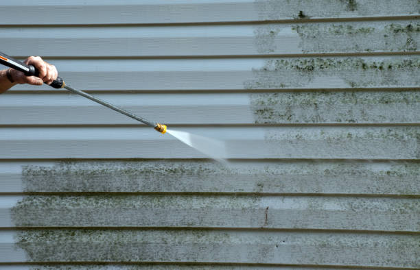 Best Patio and Deck Pressure Washing  in Coldwater, MS